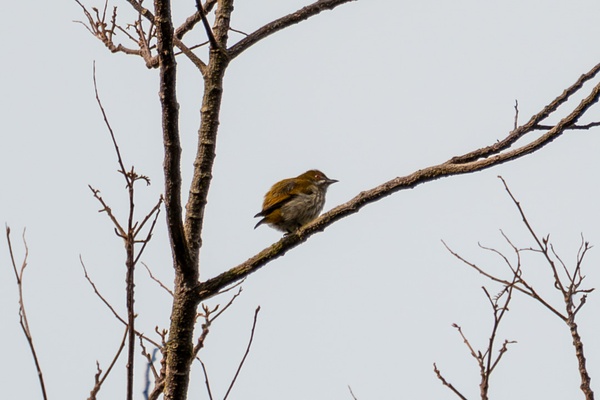 Photo credit: Zhang Shubo (Kiri)