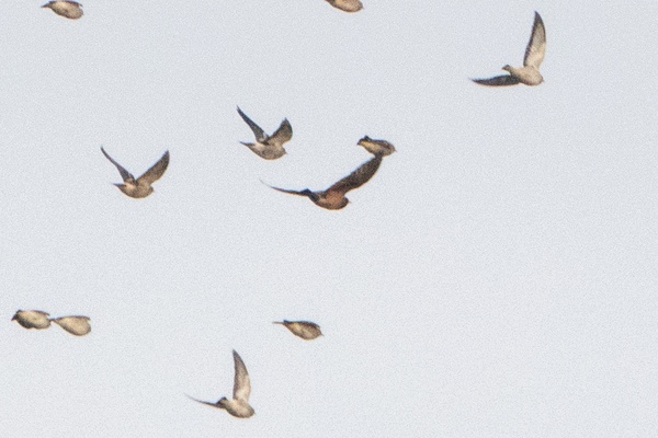 Photo credit: Jared Tan