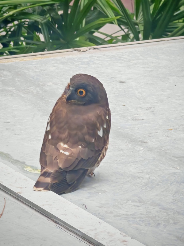 Photo credit: Esther Tay