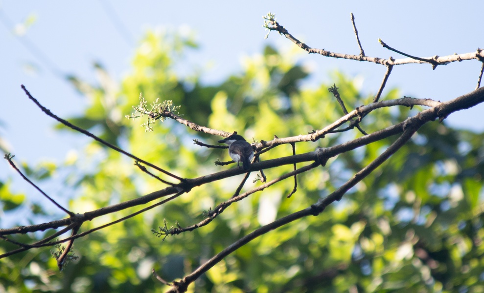 Photo credit: Emma Chao