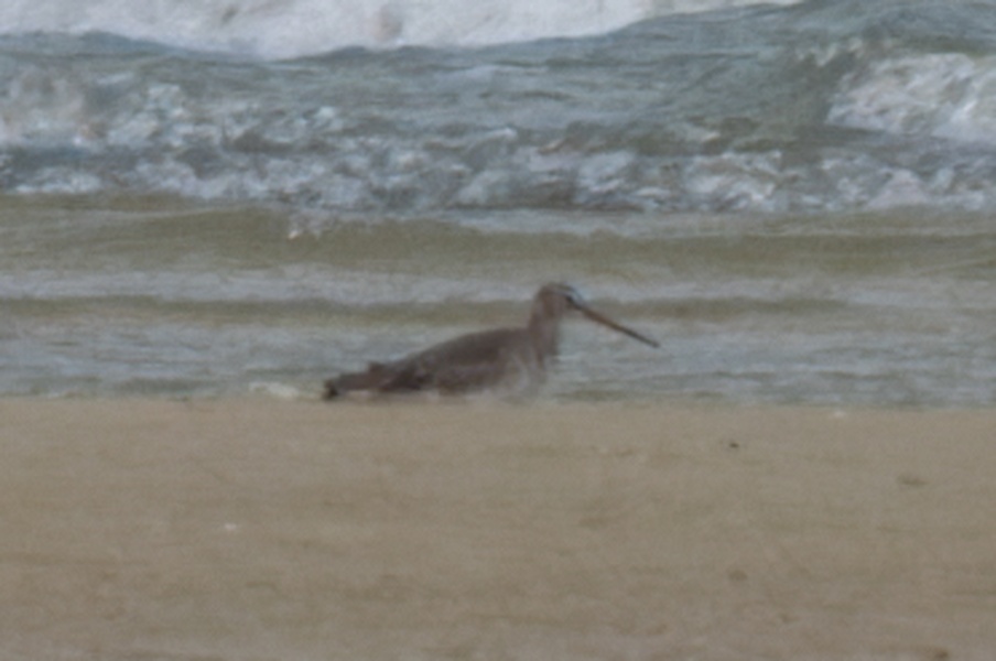 Photo credit: Tony W