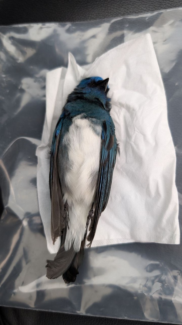 Photo credit: Chia Kar ling