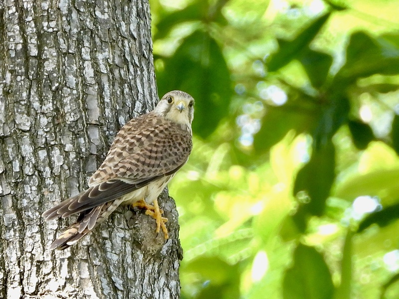 Photo credit: Wee Aik Kiat