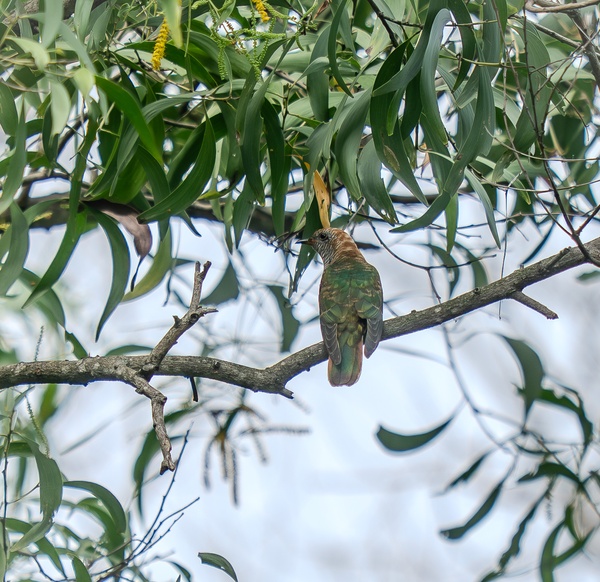 Photo credit: Dylan Ck Lee