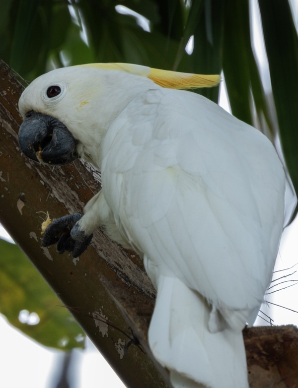 Photo credit: Rae Ng