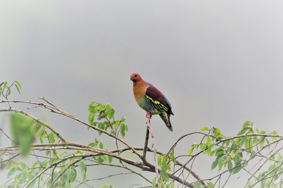 Photo credit: Shuna Maekawa