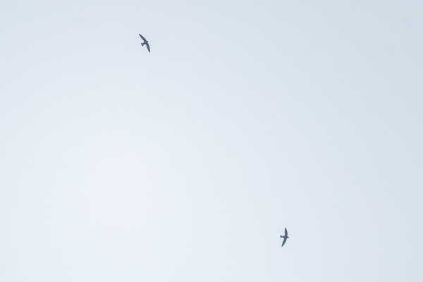 Photo credit: Ng Yan Ze