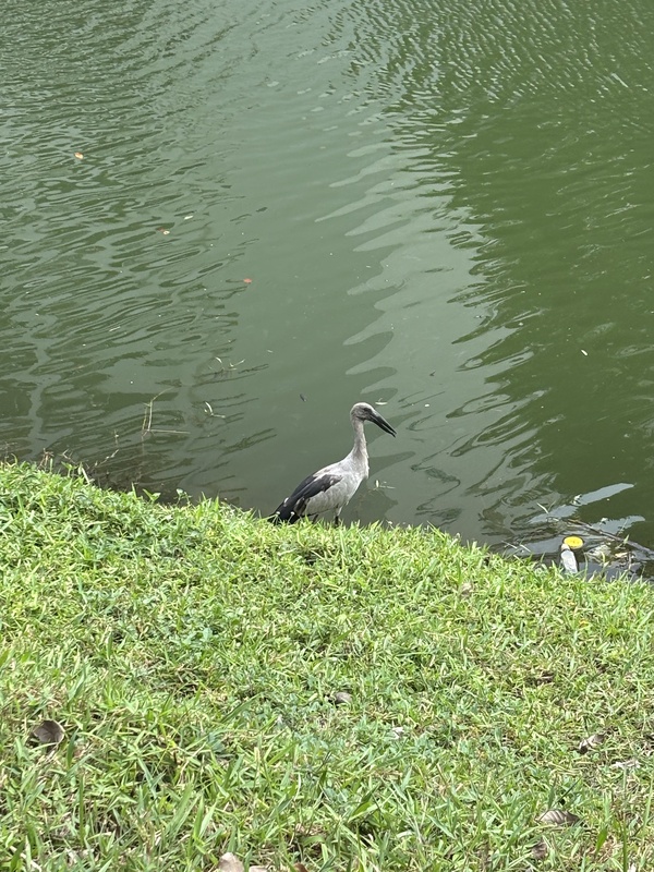 Photo credit: Cassandra