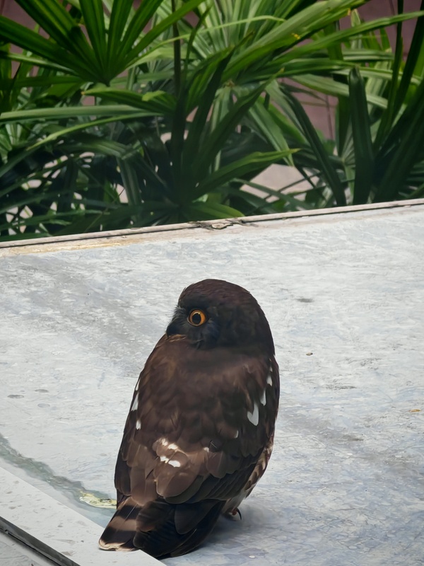 Photo credit: Esther Tay