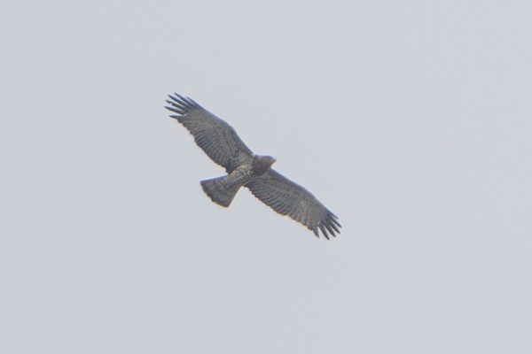 Photo credit: Jared Tan