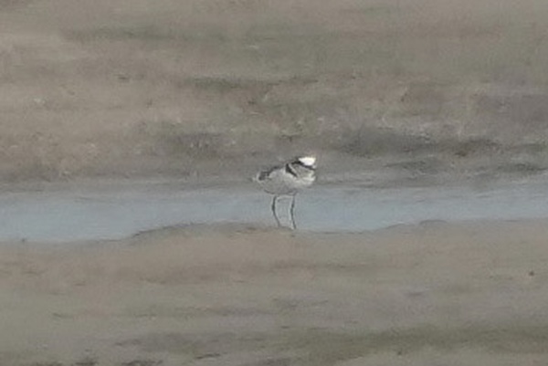 Photo credit: T.Ramesh