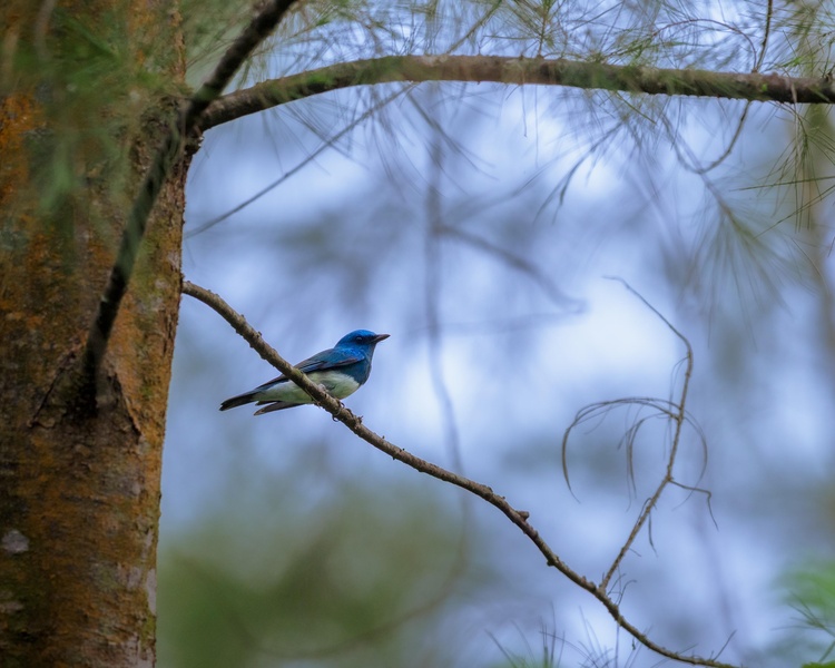 Photo credit: Ken Tan