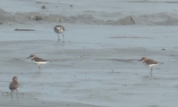 Photo credit: CN Lee