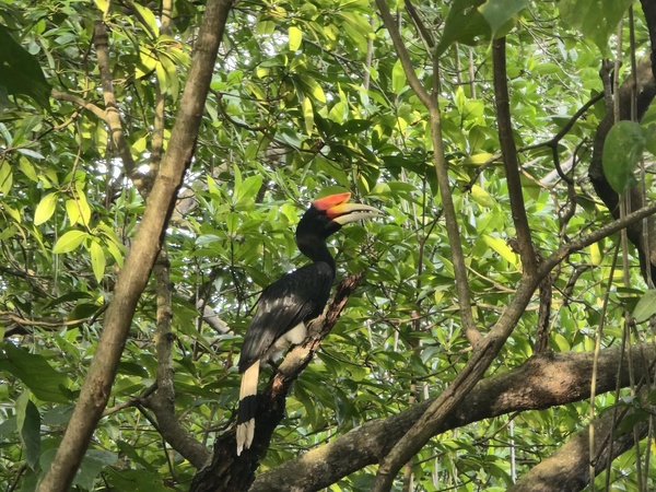 Photo credit: Liu Jia Yi