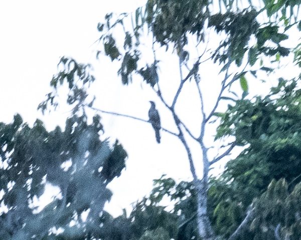 Photo credit: Ng Yan Ze