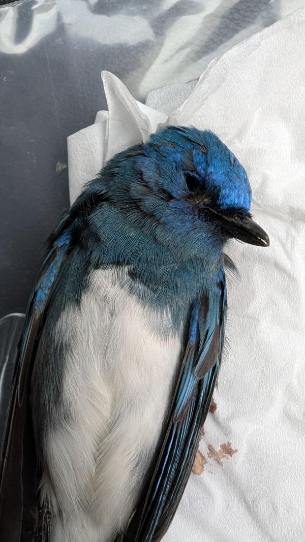 Photo credit: Chia Kar ling