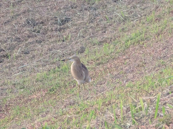 Photo credit: Raja Moorthy Karapaya