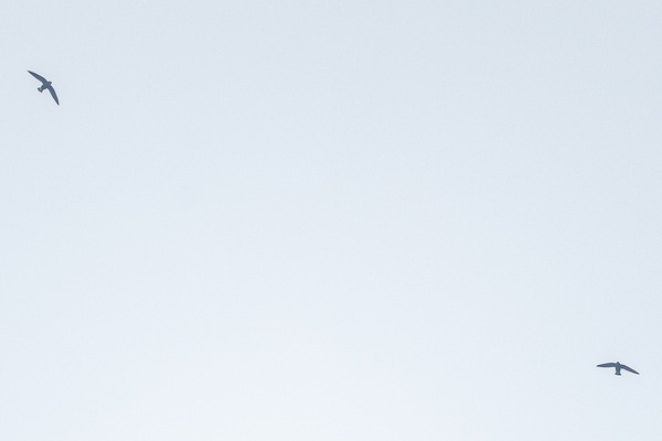 Photo credit: Ng Yan Ze