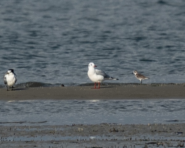 Photo credit: Ng Yan Ze