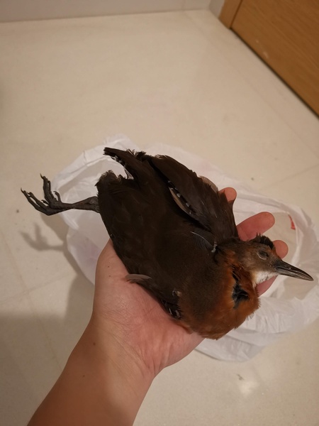 Photo credit: Tan Yen Yi