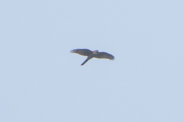 Photo credit: Jared Tan