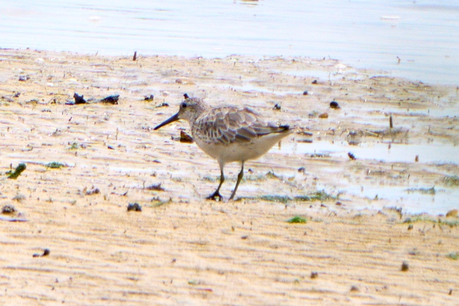 Photo credit: Chong Yuh Woei