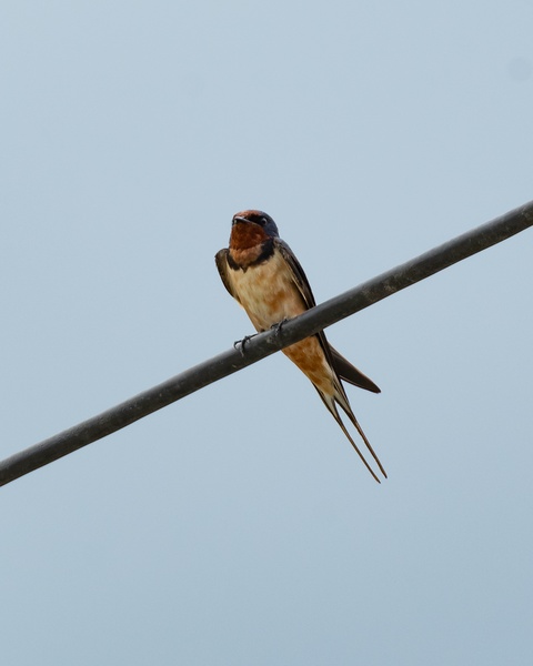 Photo credit: Ng Yan Ze