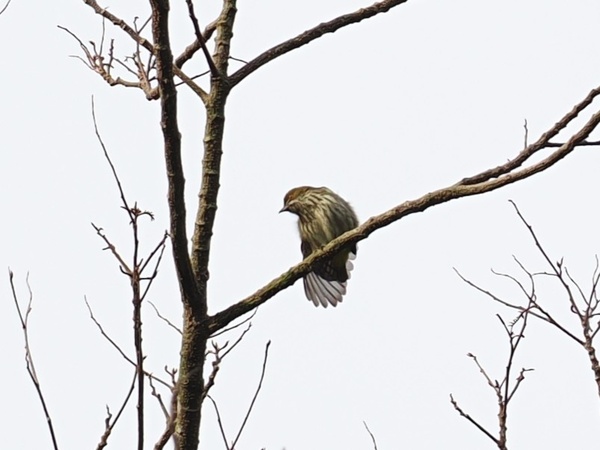 Photo credit: Jia Beier