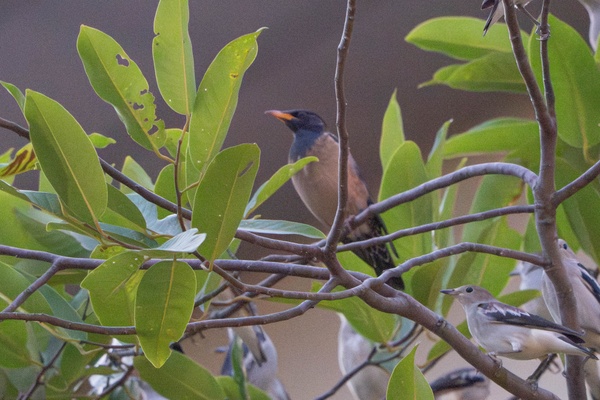 Photo credit: Jared Tan