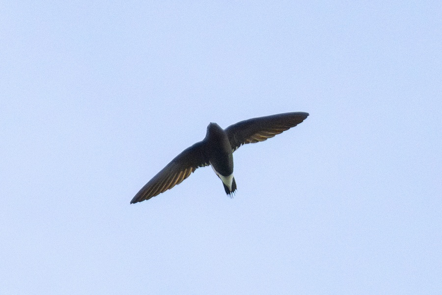 Photo credit: Yip Jen Wei