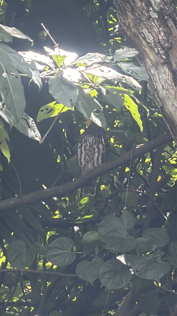 Photo credit: James Gan