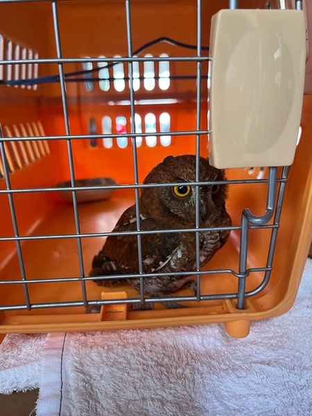 Photo credit: Anonymous