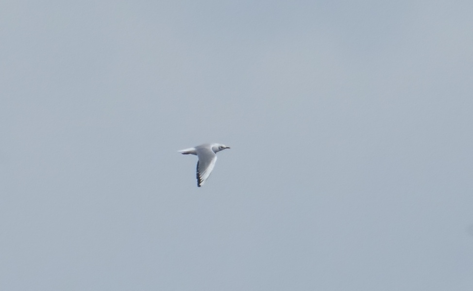 Photo credit: Lee Chien Nien