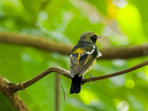 Photo credit: YONG Woon Ching