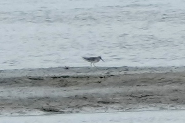 Photo credit: T. Ramesh