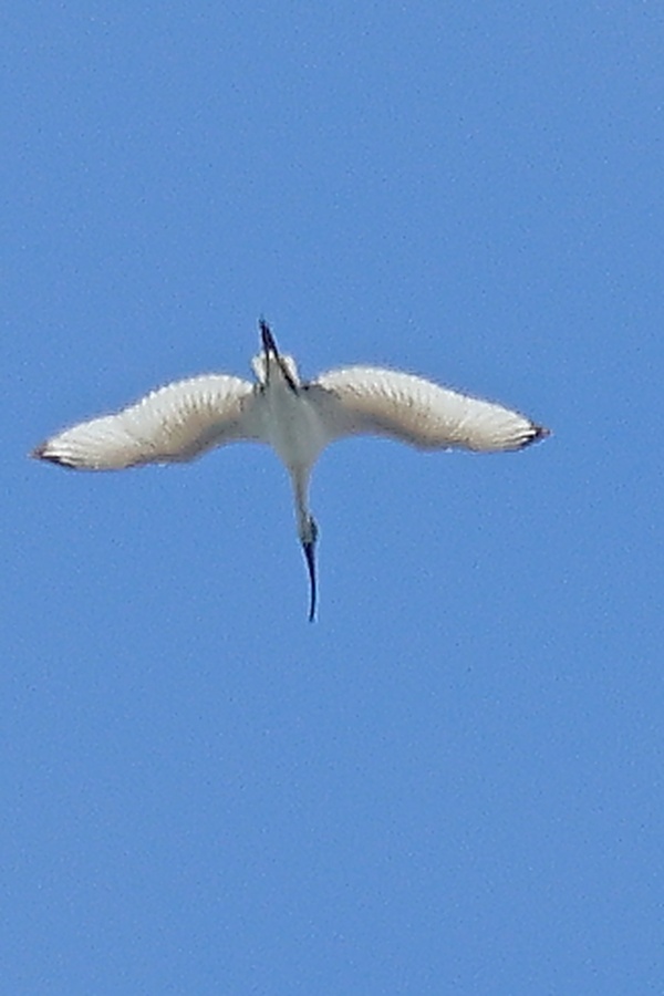 Photo credit: Low Chong Yang