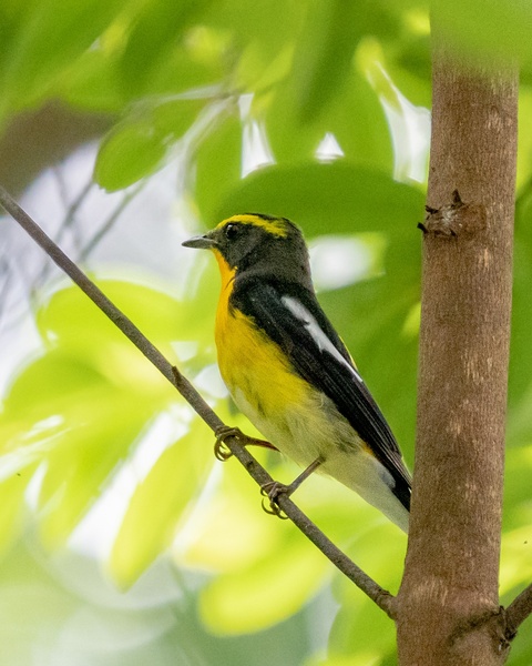 Photo credit: Jen Wei Yip