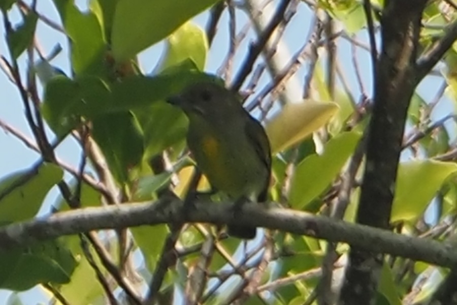 Photo credit: Mohamed Fazlin Bin Said Mohd