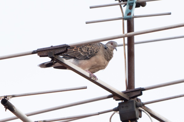 Photo credit: Jared Tan