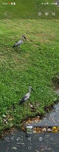img1