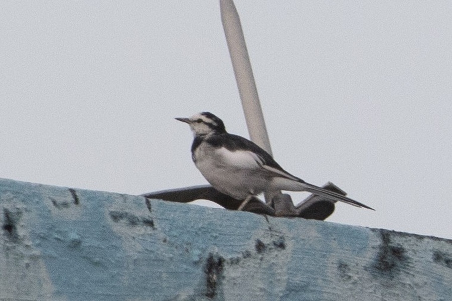 Photo credit: Okamoto Keita Sin