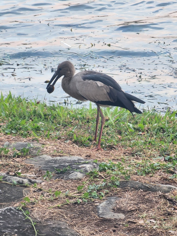 Photo credit: Tomasz Dubrownik