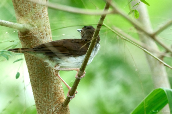 Photo credit: Hou Boon