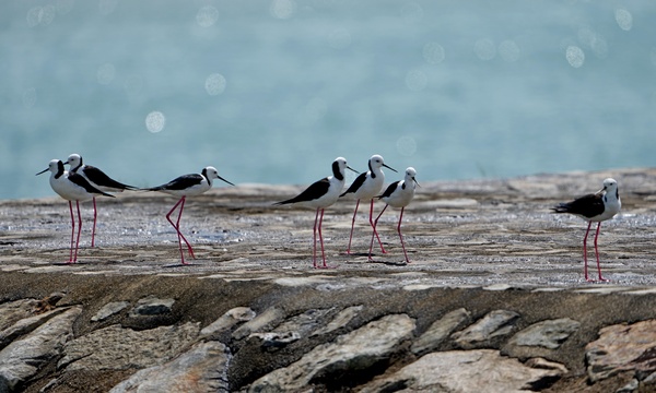 Photo credit: Goh Yong Kiat