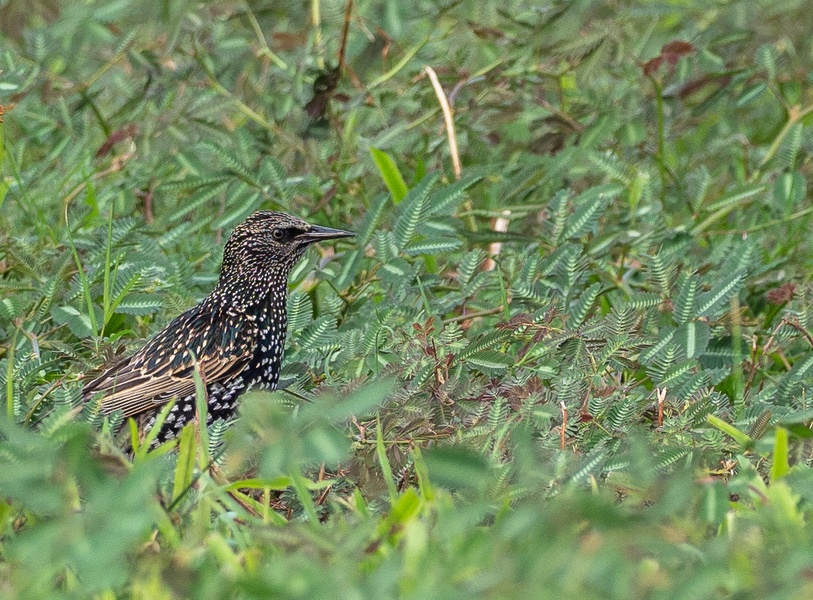 Photo credit: Koh Tian Teck