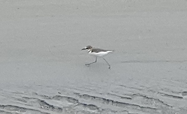 Photo credit: T. Ramesh