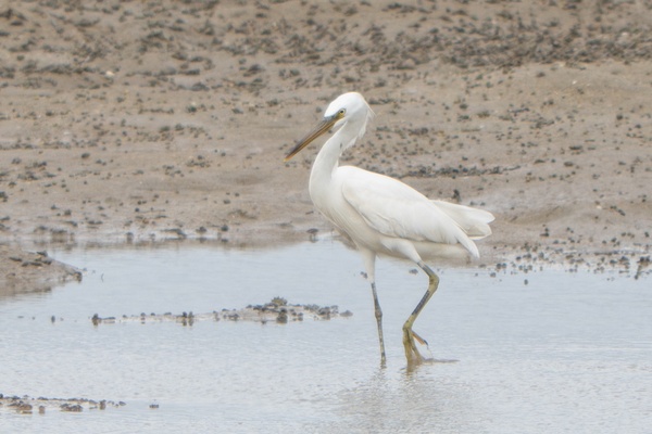 Photo credit: Jared Tan