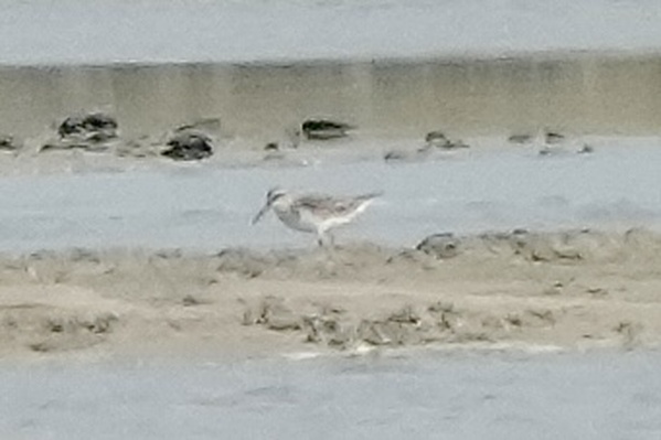 Photo credit: T. Ramesh