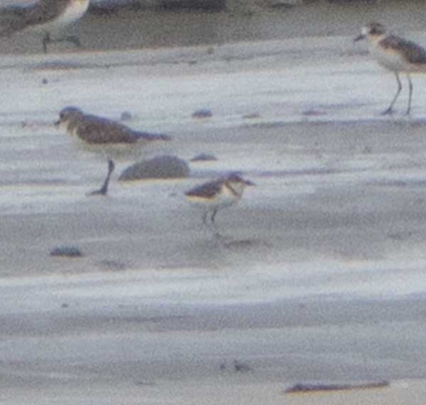 Photo credit: Jared Tan