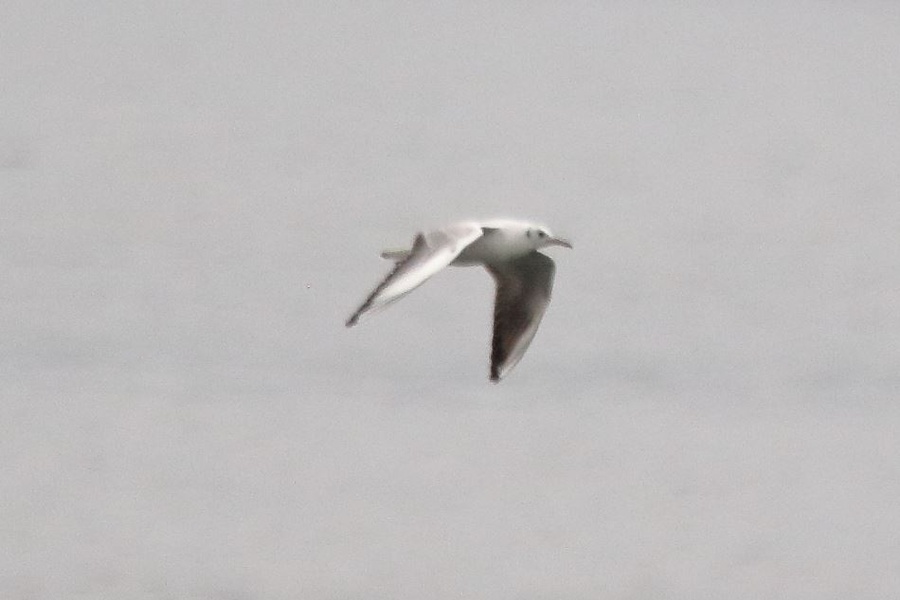 Photo credit: Low Chong Yang